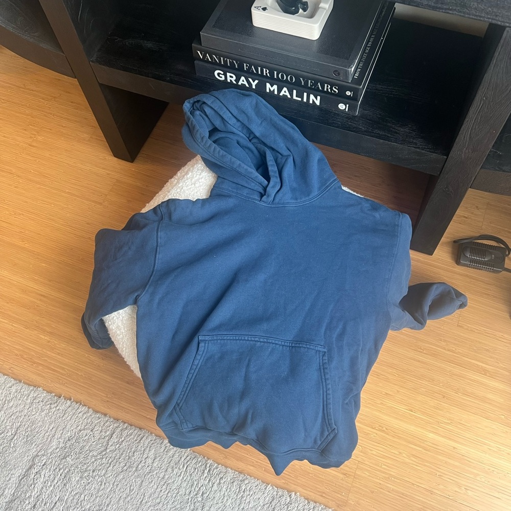 Aritzia hoodie